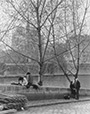 Seine quay and Notre-Dame, Paris