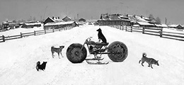 Solovki, White Sea, Russia (Dog on motorbike)