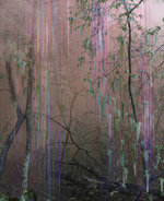Untitled (Forest 19)