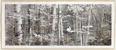 Birch Forest Mt Hale
