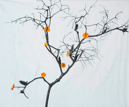 Orange Tree, Ed. 2/5