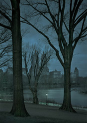 Asleep #2, Dawn, Central Park, NYC from the Deep in a Dream series)