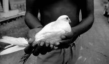 Hands of Freedom, Cuba