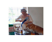 Queen Feeding Corgis