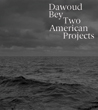 Edited by Corey Keller and Elisabeth Sherman; With contributions by Torkwase Dyson, Steven Nelson, Imani Perry, and Claudia Rankine