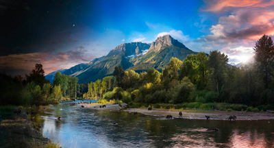 Grizzly Bears, Bella Coola, British Columbia, Day to Night