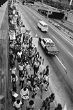 Untitled Protestors, Los Angeles, CA