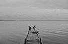Photography series “Boy with a Stick”