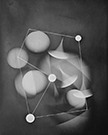 #572, Series: The Self Representation of Light