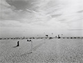 Beach with Volleyball Net