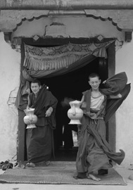 Monks of Carring Teapot, Tibet