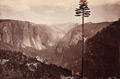 Yosemite Valley from the Best General View