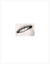 Mouth, I