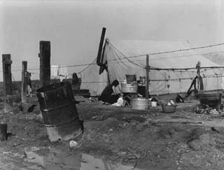 Woman Washing, Migrant Camp