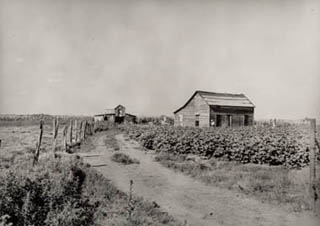 Mid-continent Small Cotton Farm, on US-62, Oklahoma